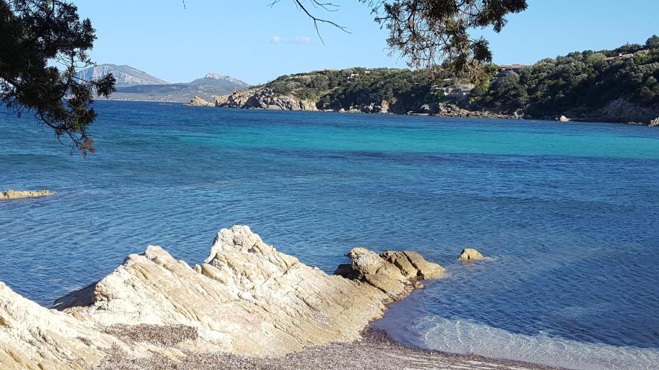 Appartamento A Porto Rotondo - Villaggio Punta Volpe - Iun S5393 Eksteriør billede